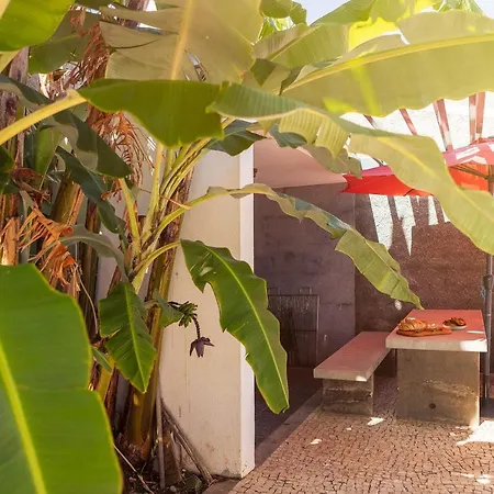 Villa Amplitude Câmara de Lobos